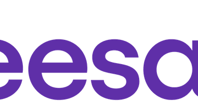 seesaw